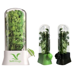 Premium Herb Keeper for Refrigerator – Large